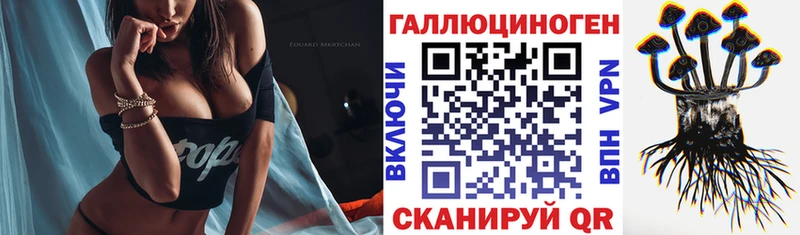 купить наркотик  Ирбит  Галлюциногенные грибы Psilocybe 